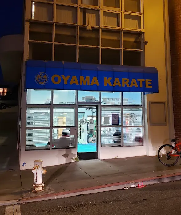 World Oyama Karate Picture 1