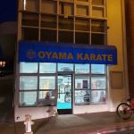World Oyama Karate