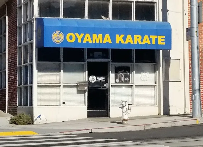 World Oyama Karate Picture 7