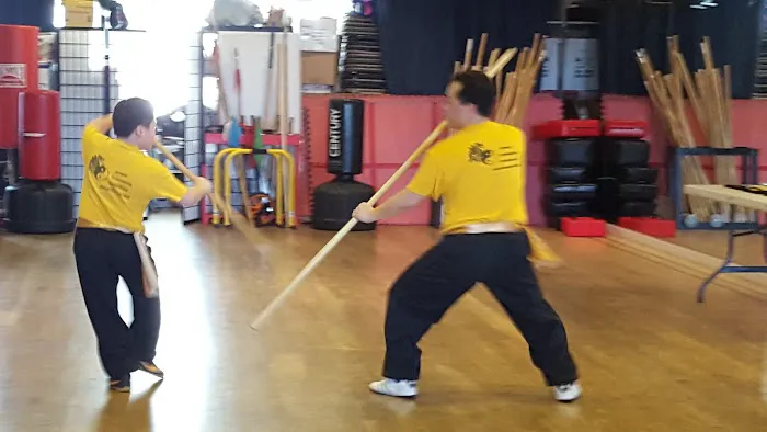 Five Animals Kung Fu Academy Picture 6