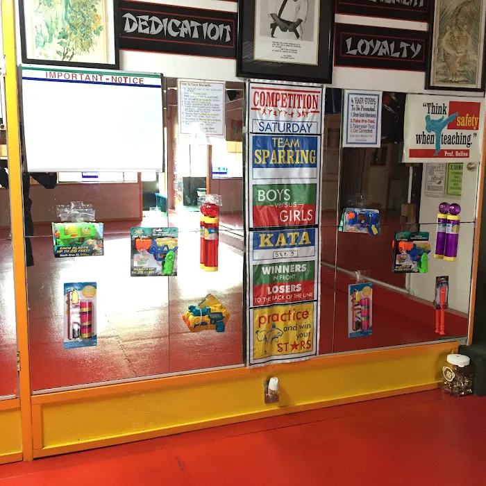 Beliso Karate School Picture 2