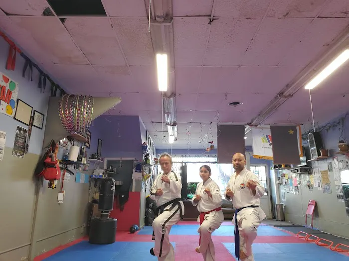 S F Taekwon-do Center Picture 3