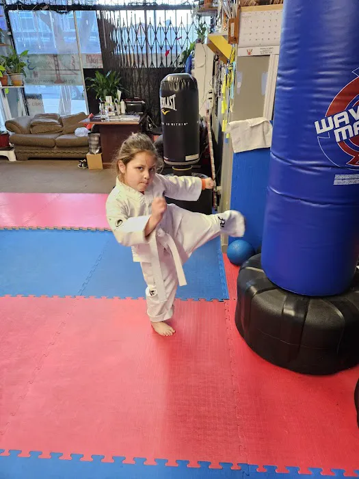 S F Taekwon-do Center Picture 5