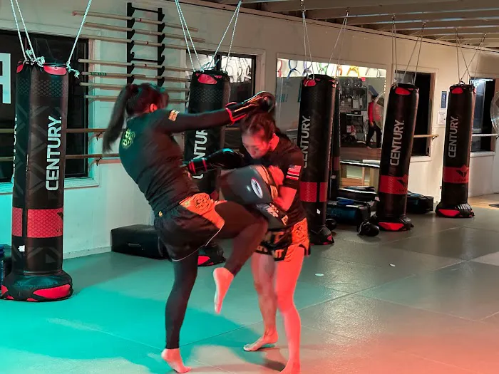 Hapkido USA-Colhado Brazilian Jiujitsu-Muay Thai-Eskrima Picture 1