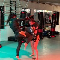 Hapkido USA-Colhado Brazilian Jiujitsu-Muay Thai-Eskrima ico
