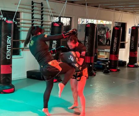 Hapkido USA-Colhado Brazilian Jiujitsu-Muay Thai-Eskrima