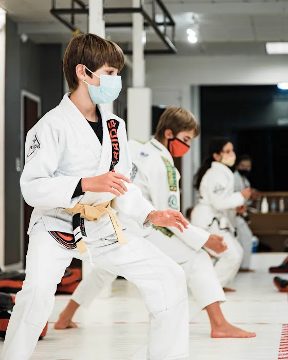 Barrios Martial Arts Picture 5