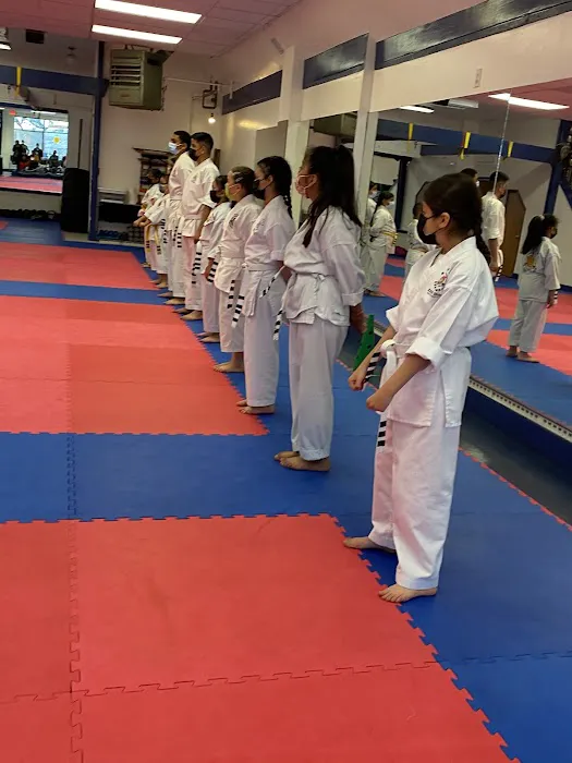 Manuel's Renshinkan Karate Picture 2