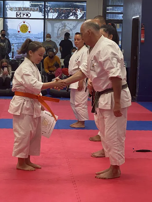 Manuel's Renshinkan Karate Picture 4