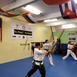 Yong In Martial Arts Academy