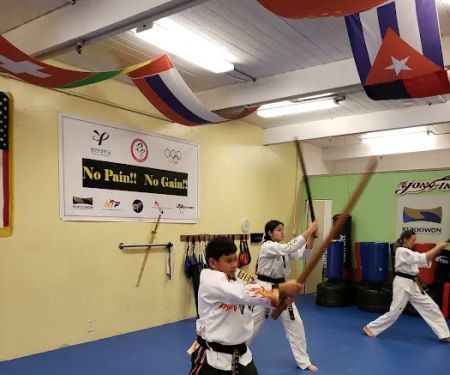 Yong In Martial Arts Academy