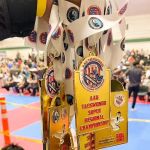 California School of Martial Arts (CALSMA TAEKWONDO)