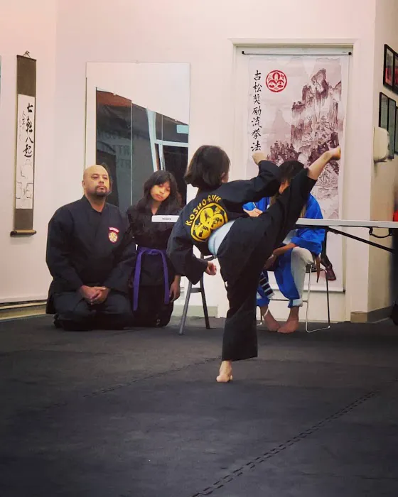 Bay Area's Best Kosho Ryu Kenpo Karate Picture 2