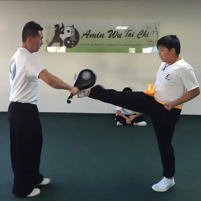 Amin Wu Tai Chi Picture 9