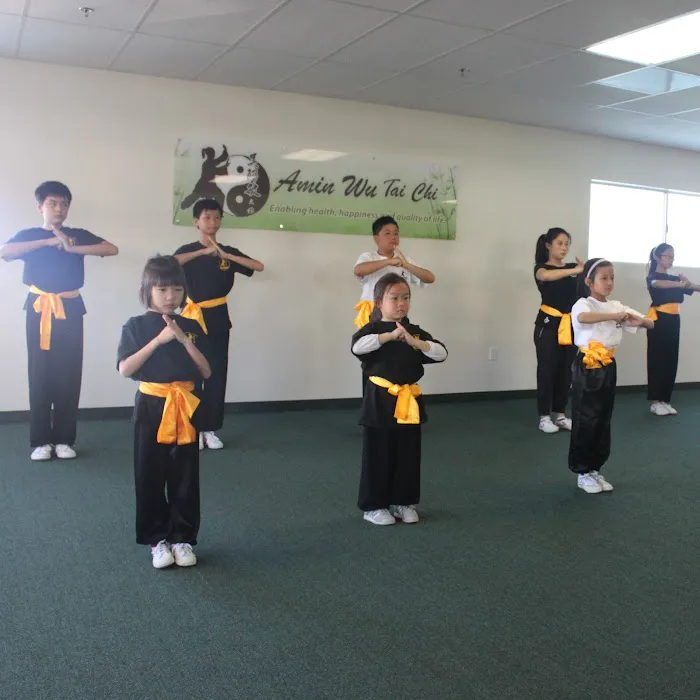 Amin Wu Tai Chi Picture 8