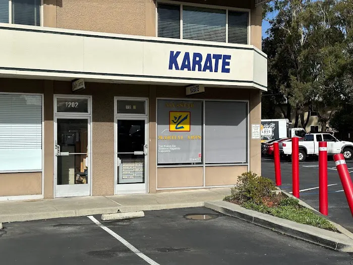 All Stars Martial Arts Picture 2