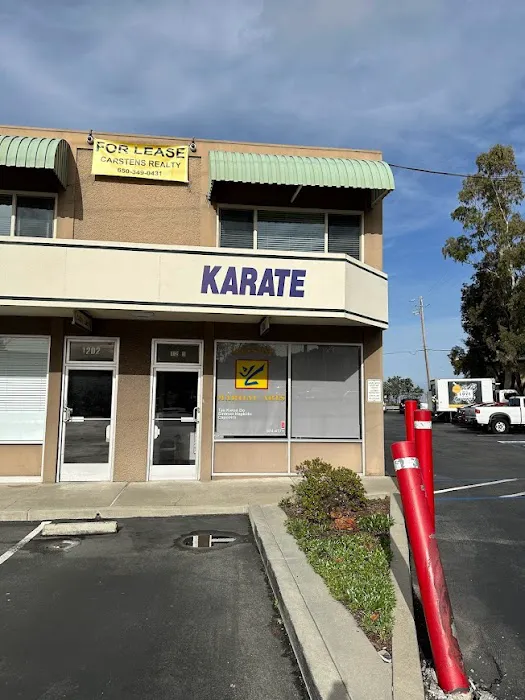 All Stars Martial Arts Picture 4