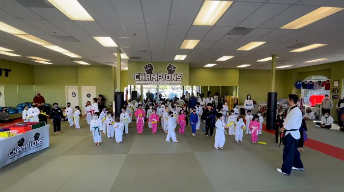 Champions Martial Arts Picture 5