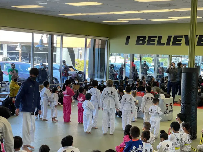 Champions Martial Arts Picture 7
