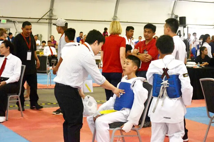 Team Tigers Taekwondo Academy Picture 3