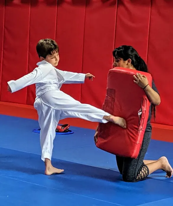 Bay Area Martial Arts Academy Picture 2