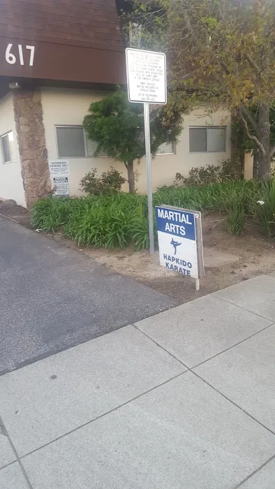 Bay Area Martial Arts Academy Picture 1