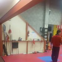 Pure Shaolin Kung Fu ico