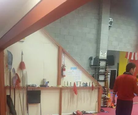 Pure Shaolin Kung Fu