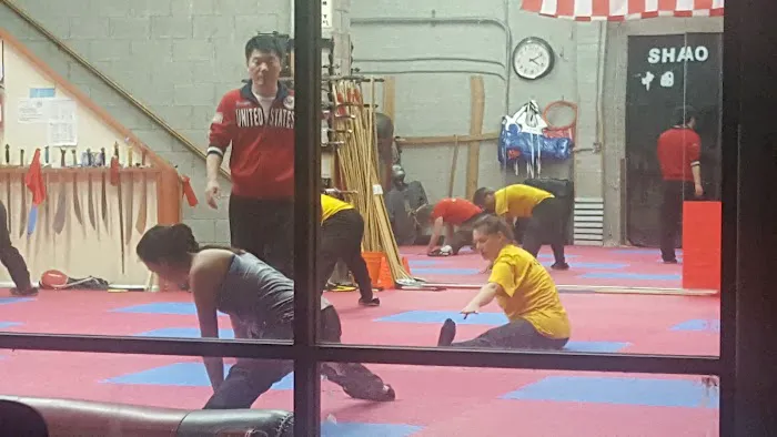 Pure Shaolin Kung Fu Picture 3