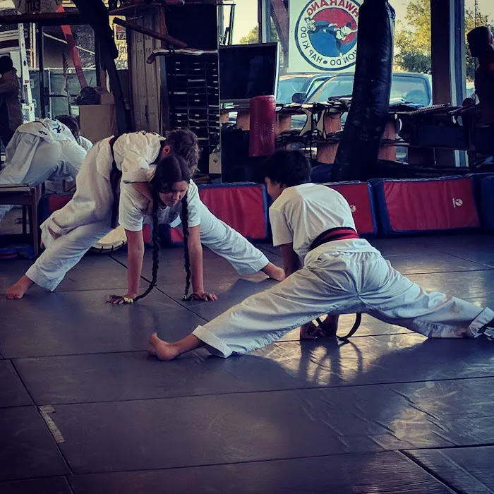 Hwa Rang Kwan Tae Kwon Do Picture 3
