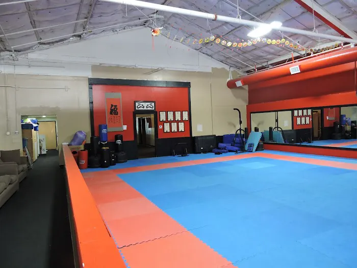 Twin Dragon Kung Fu Academy, Inc. Picture 2