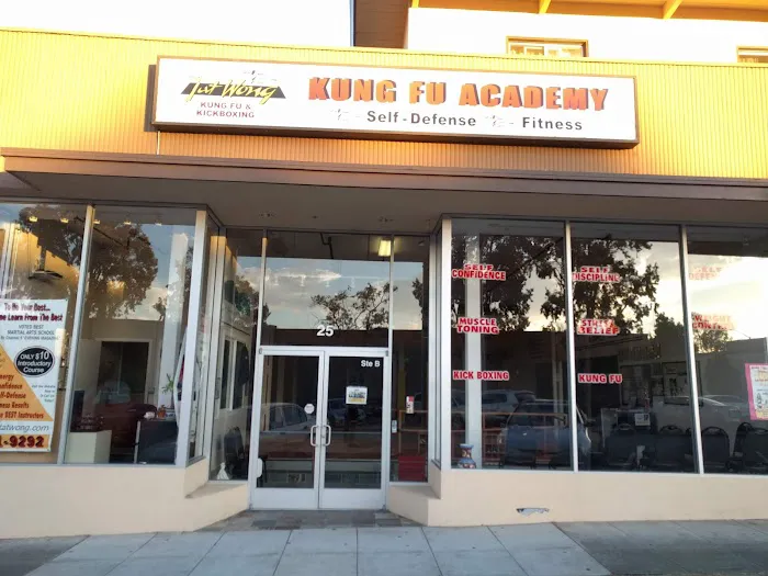 Tat Wong Kung Fu Academy Picture 9