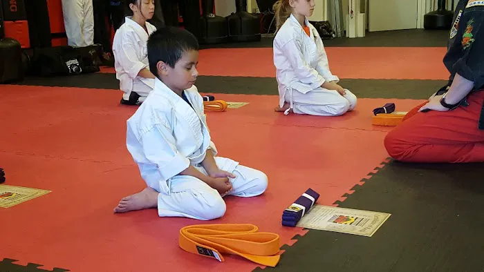 United Studios of Self Defense Picture 7
