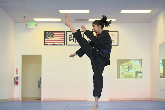Tiger Taekwondo (Martial Arts) Picture 1