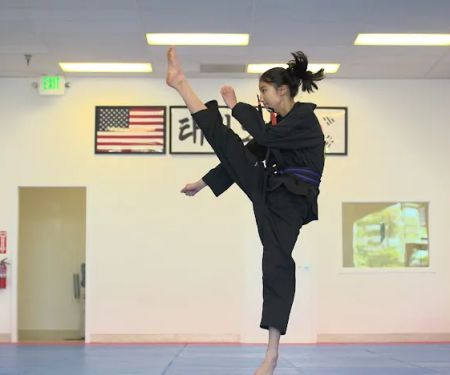 Tiger Taekwondo (Martial Arts)