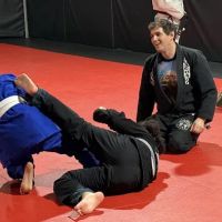 Peninsula Self Defense ico