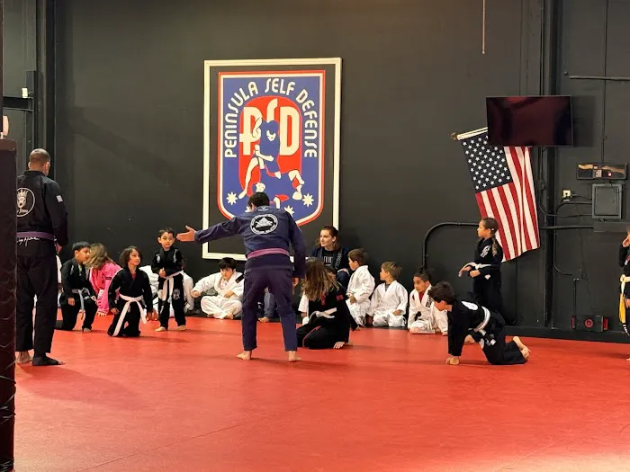Peninsula Self Defense Picture 4