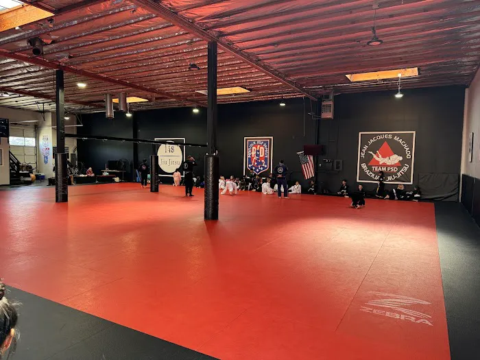 Peninsula Self Defense Picture 7