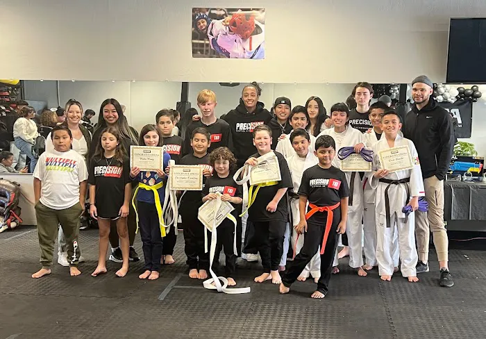 Precision Martial Arts and Fitness Picture 3