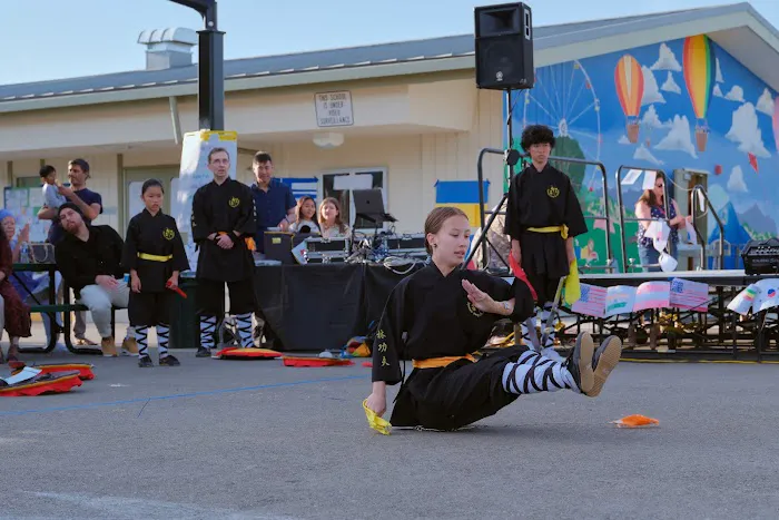 Dynamic Kung Fu Academy Picture 7
