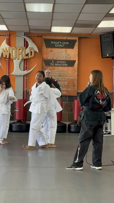 Ernie Reyes West Coast World Martial Arts Picture 8