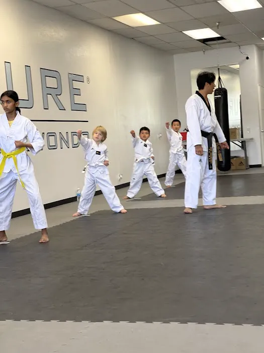 PURE TAEKWONDO Picture 4