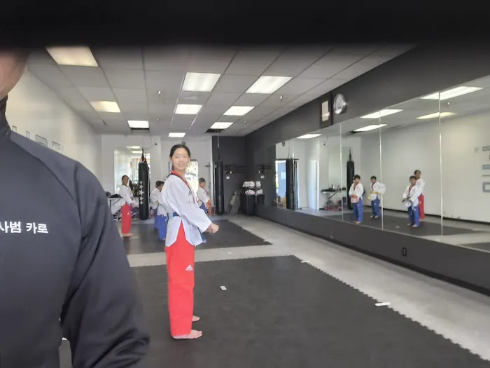 PURE TAEKWONDO Picture 3