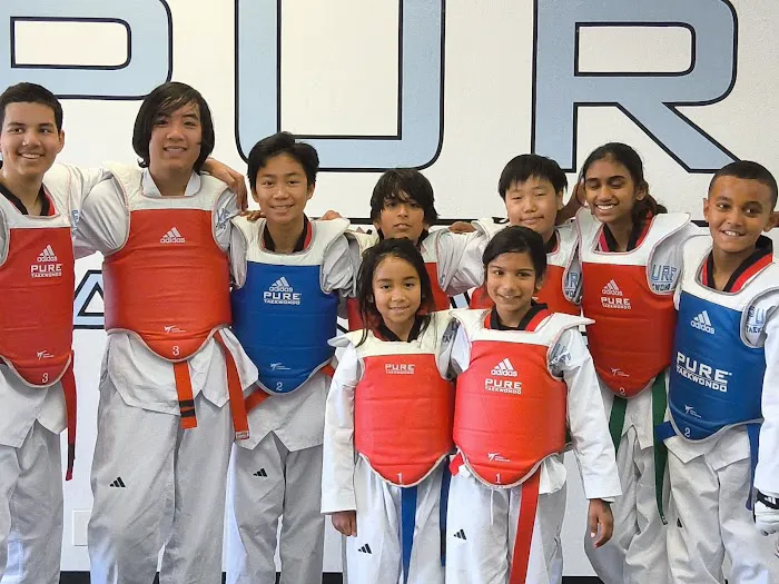 PURE TAEKWONDO Picture 2