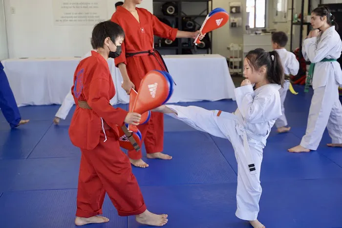 Saratoga Martial Arts Academy Picture 8