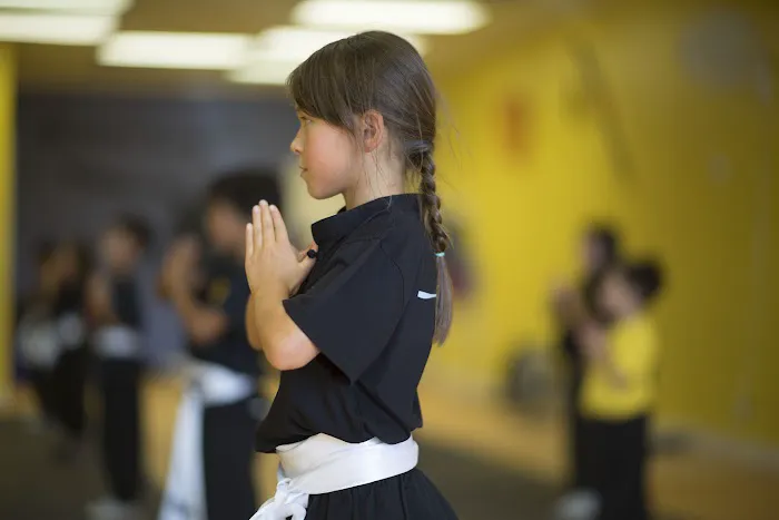 Shaolin Warrior Martial Arts Picture 4