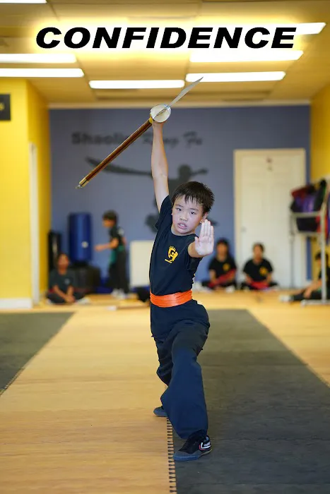 Shaolin Warrior Martial Arts Picture 9