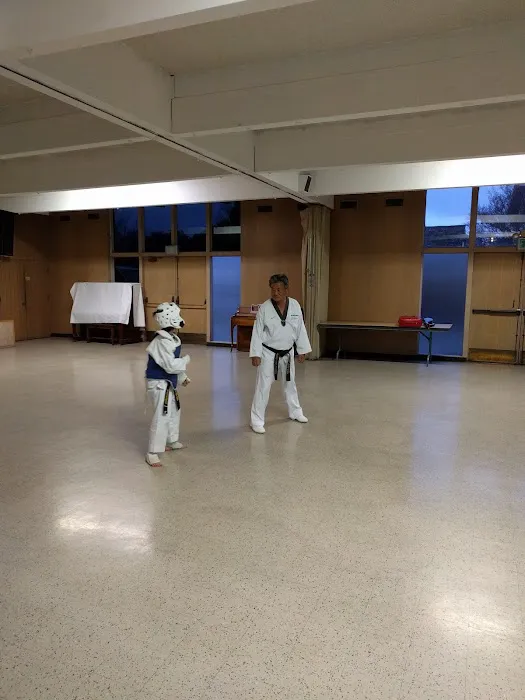 Silicon Valley Tae Kwon Do -Joong Kook Nam Picture 1
