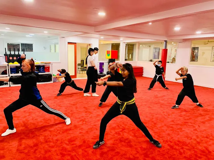 Wushu Central Martial Arts Academy Picture 4