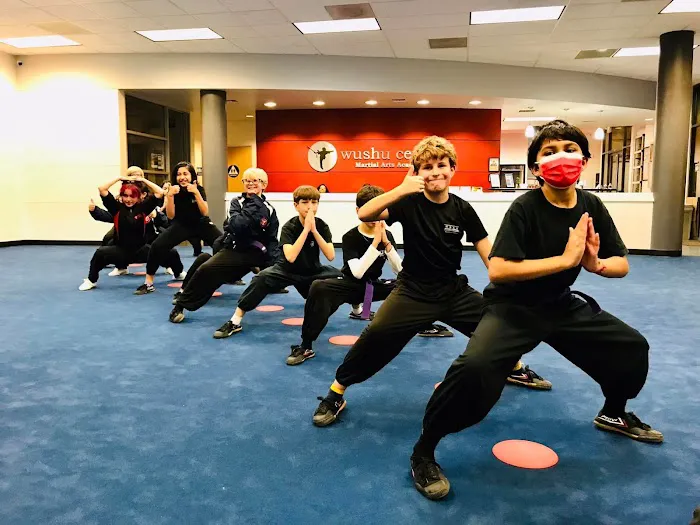 Wushu Central Martial Arts Academy Picture 5